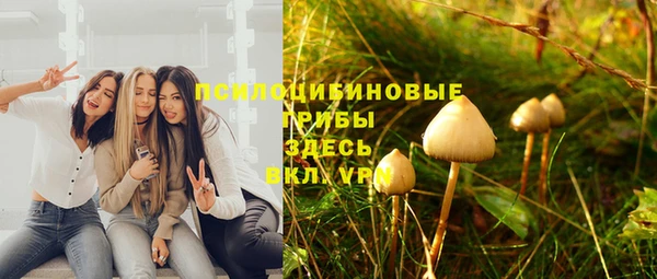 дурь Абаза