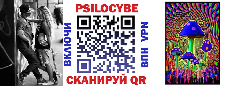 Псилоцибиновые грибы Psilocybine cubensis  Ачхой-Мартан 